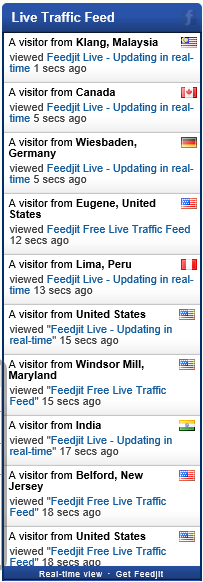 Live Traffic Feed Preview