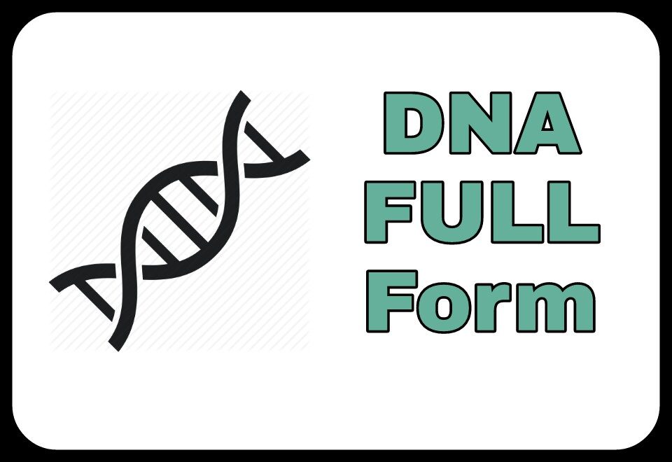 dna-full-form-8324897