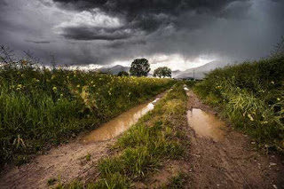 field-thunderstorm-rainy-meadow-9607254