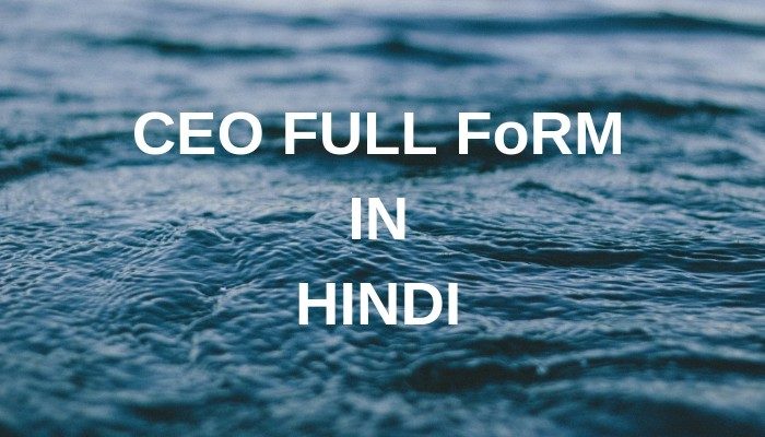 ceo-full-from-in-hindi-7782374