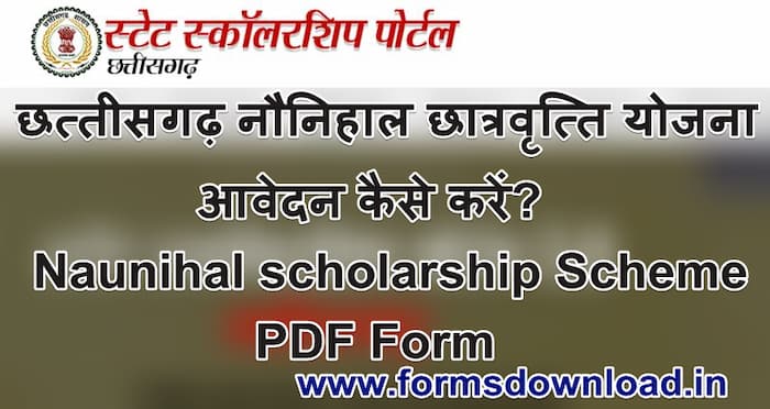 छत्तीसगढ़ नौनिहाल छात्रवृत्ति योजना पीडीएफ फॉर्म | chattisgarh Naunihal scholarship scheme PDF form