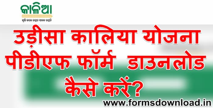 उड़ीसा कालिया योजना आवेदन पीडीएफ फॉर्म | odisha kalia yojna Apply PDF Form