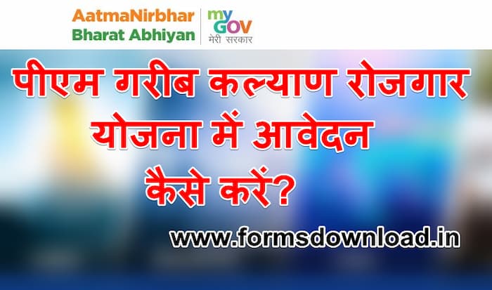 प्रधानमंत्री गरीब कल्याण रोजगार योजना आवेदन पीडीएफ फॉर्म PMKGY 2024 PDF Form Download