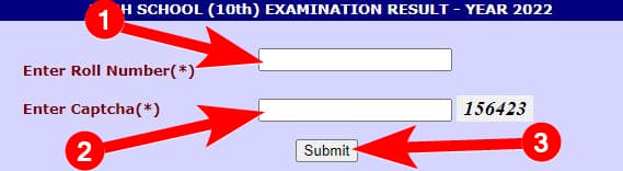 छत्तीसगढ़ बोर्ड 10वीं और 12वीं का रिजल्ट ऑनलाइन कैसे चेक? How to check Chhattisgarh board 10th and 12th result 2024