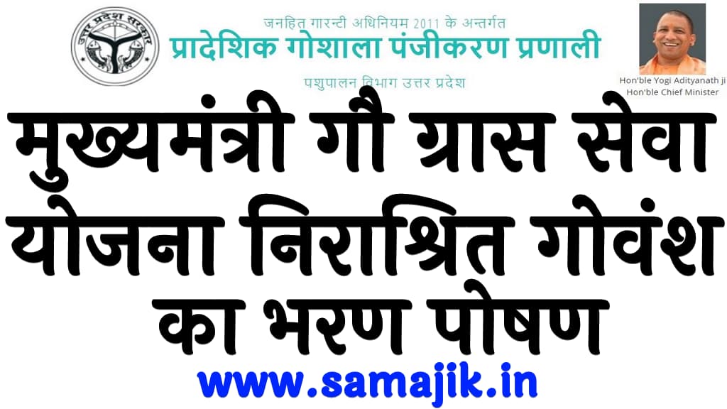 मुख्यमंत्री गौ ग्रास सेवा योजना 2024 निराश्रित गोवंश का भरण पोषण | Mukhyamantri Gau Grass Seva Yojana 2024